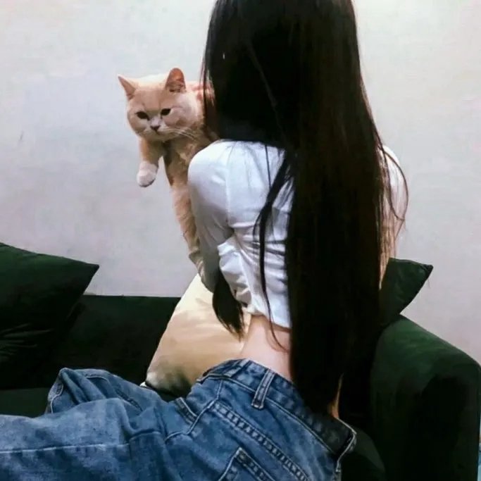 怪兽航线